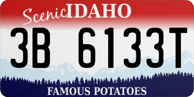 ID license plate 3B6133T
