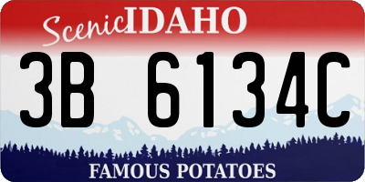 ID license plate 3B6134C