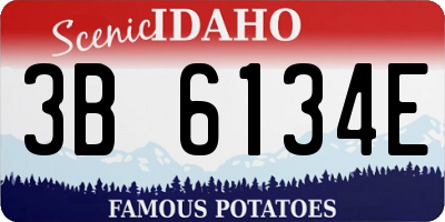 ID license plate 3B6134E