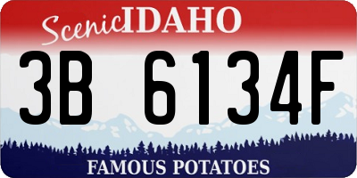 ID license plate 3B6134F
