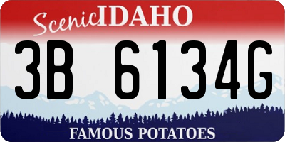 ID license plate 3B6134G
