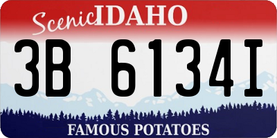 ID license plate 3B6134I