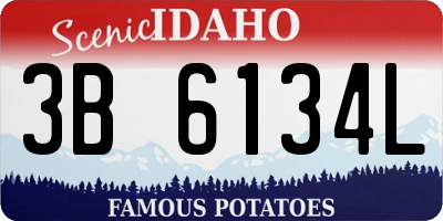 ID license plate 3B6134L