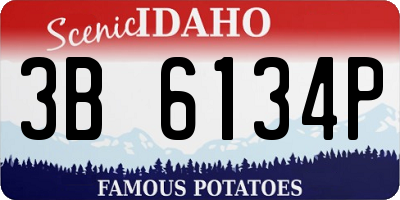 ID license plate 3B6134P