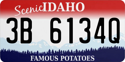 ID license plate 3B6134Q