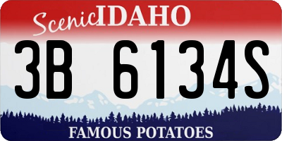 ID license plate 3B6134S