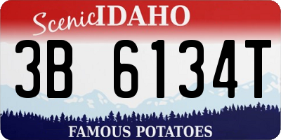 ID license plate 3B6134T