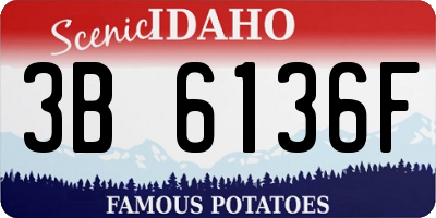 ID license plate 3B6136F