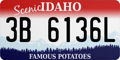 ID license plate 3B6136L