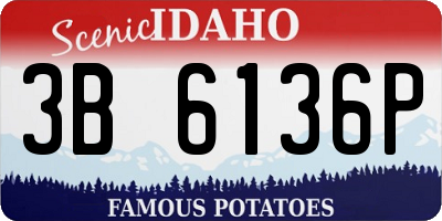 ID license plate 3B6136P