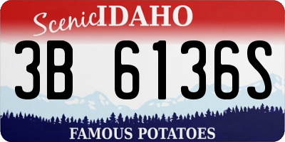 ID license plate 3B6136S