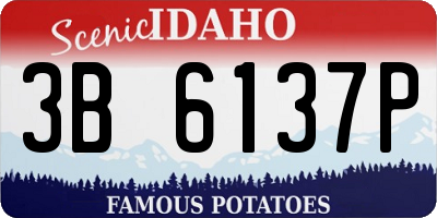 ID license plate 3B6137P
