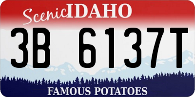 ID license plate 3B6137T