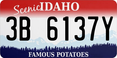 ID license plate 3B6137Y