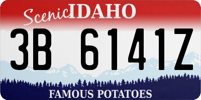 ID license plate 3B6141Z
