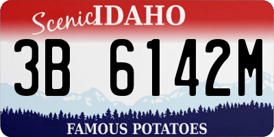 ID license plate 3B6142M
