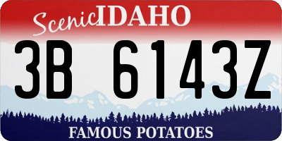 ID license plate 3B6143Z
