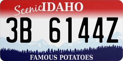 ID license plate 3B6144Z