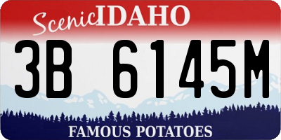 ID license plate 3B6145M