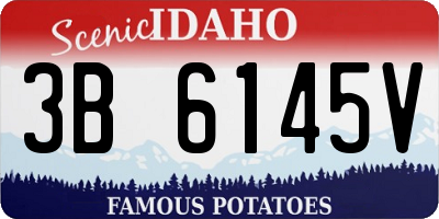 ID license plate 3B6145V