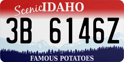 ID license plate 3B6146Z