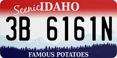 ID license plate 3B6161N