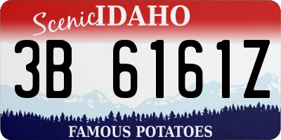 ID license plate 3B6161Z