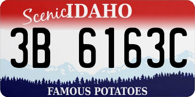 ID license plate 3B6163C