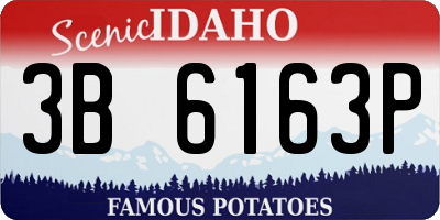 ID license plate 3B6163P
