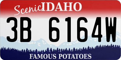 ID license plate 3B6164W