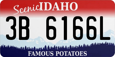 ID license plate 3B6166L