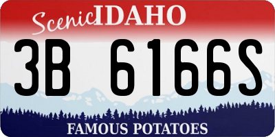 ID license plate 3B6166S