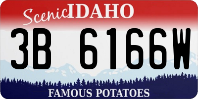 ID license plate 3B6166W