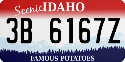 ID license plate 3B6167Z