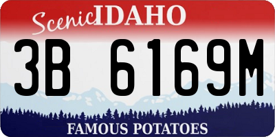 ID license plate 3B6169M