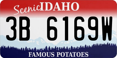 ID license plate 3B6169W