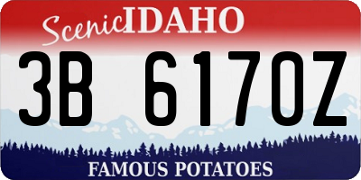 ID license plate 3B6170Z