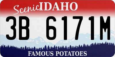 ID license plate 3B6171M