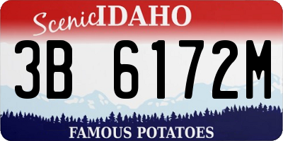 ID license plate 3B6172M