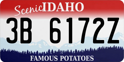 ID license plate 3B6172Z