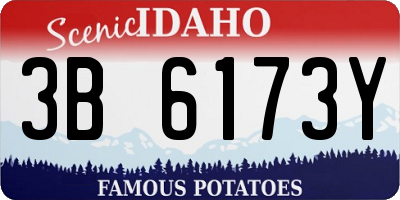 ID license plate 3B6173Y