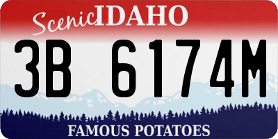 ID license plate 3B6174M