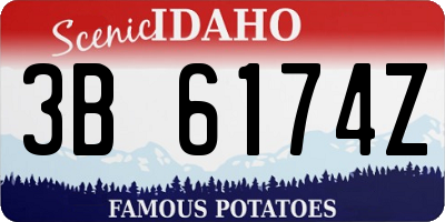ID license plate 3B6174Z