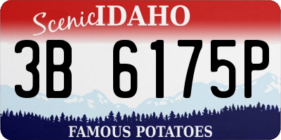 ID license plate 3B6175P
