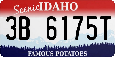 ID license plate 3B6175T