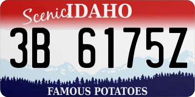 ID license plate 3B6175Z