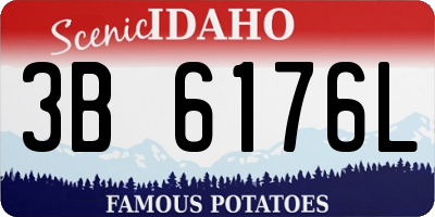 ID license plate 3B6176L