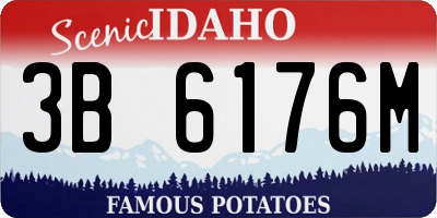 ID license plate 3B6176M