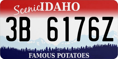 ID license plate 3B6176Z