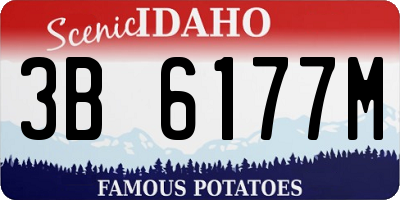 ID license plate 3B6177M